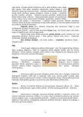 Lietuvos valdovų rūmai 4 puslapis