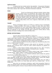 Lietuvos valdovų rūmai 5 puslapis