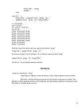 Lygiagretusis programavimas. Erlang kalbos analizė 13 puslapis