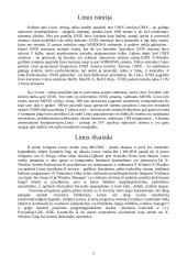 Linux pradmenys 3 puslapis