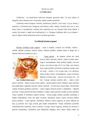 Lytiškai plintančios ligos ir nėštumo reguliavimas 2 puslapis