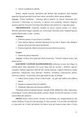 Lytiškai plintančios ligos ir nėštumo reguliavimas 11 puslapis