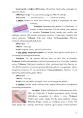 Lytiškai plintančios ligos ir nėštumo reguliavimas 15 puslapis