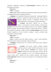 Lytiškai plintančios ligos ir nėštumo reguliavimas 16 puslapis