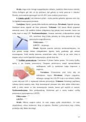 Lytiškai plintančios ligos ir nėštumo reguliavimas 17 puslapis
