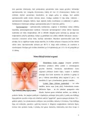 Lytiškai plintančios ligos ir nėštumo reguliavimas 5 puslapis