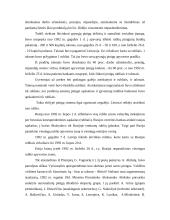 Lito istorija 7 puslapis