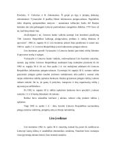 Lito istorija 8 puslapis