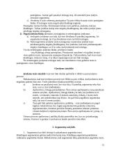 Teisinės literatūros analizė 12 puslapis