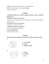 Teisinės literatūros analizė 8 puslapis