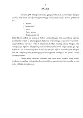 M. Heidegerio būties supratimas 8 puslapis