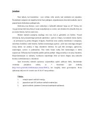 Makiažo ypatumai Lietuvoje 2 puslapis