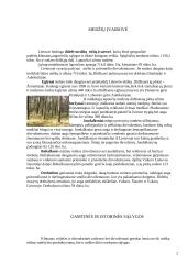 Medžių įvairovė ir jos priklausomybė nuo klimato 2 puslapis