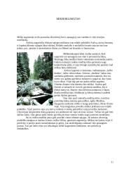 Medžių įvairovė ir jos priklausomybė nuo klimato 11 puslapis