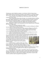 Medžių įvairovė ir jos priklausomybė nuo klimato 3 puslapis