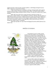 Medžių įvairovė ir jos priklausomybė nuo klimato 7 puslapis