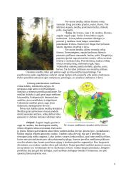 Medžių įvairovė ir jos priklausomybė nuo klimato 9 puslapis