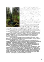 Medžių įvairovė ir jos priklausomybė nuo klimato 10 puslapis
