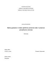 Metalo apdirbimo ir mašinų gamybos perspektyvos Lietuvoje