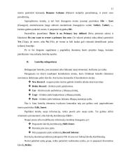 Microsoft Access programa 11 puslapis