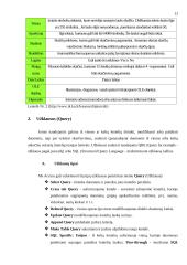 Microsoft Access programa 13 puslapis