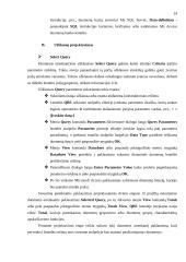 Microsoft Access programa 14 puslapis