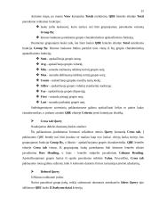 Microsoft Access programa 15 puslapis