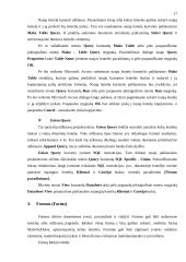 Microsoft Access programa 17 puslapis