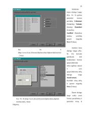 Microsoft Access programa 19 puslapis