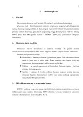 Microsoft Access programa 4 puslapis