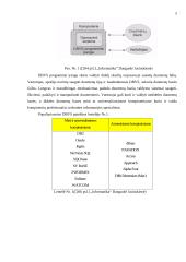 Microsoft Access programa 5 puslapis