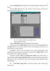 Microsoft Access programa 7 puslapis
