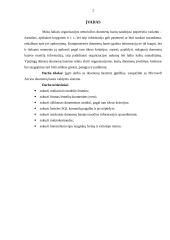 Microsoft Access duomenų bazės valdymo sistema 2 puslapis