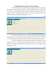Microsoft Access duomenų bazės valdymo sistema 15 puslapis