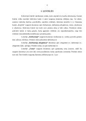 Microsoft Access duomenų bazės valdymo sistema 4 puslapis