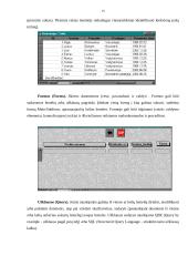 Microsoft Office 2003  Excel, Word, Access, PowerPoint darbo aprašymas 14 puslapis