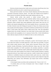 Microsoft Office 2003  Excel, Word, Access, PowerPoint darbo aprašymas 17 puslapis