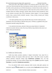 Įstaigos darbo organizavimas su Microsoft Outlook programa 11 puslapis
