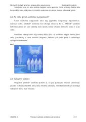 Įstaigos darbo organizavimas su Microsoft Outlook programa 4 puslapis