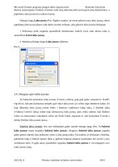 Įstaigos darbo organizavimas su Microsoft Outlook programa 10 puslapis