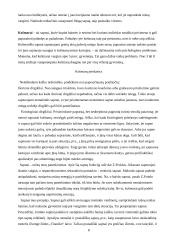 Miego fazės, funkcijos, trukmė, sutrikimai ir sapnai 8 puslapis
