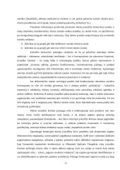 Miesto įvaizdžio individualumo problema 11 puslapis