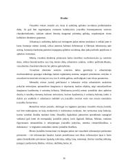 Miesto įvaizdžio individualumo problema 16 puslapis