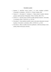 Miesto įvaizdžio individualumo problema 17 puslapis