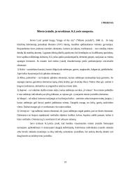 Miesto įvaizdžio individualumo problema 19 puslapis