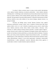 Miesto įvaizdžio individualumo problema 3 puslapis