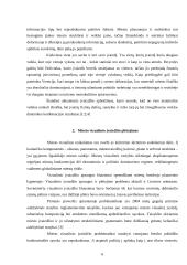 Miesto įvaizdžio individualumo problema 6 puslapis