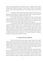 Miesto įvaizdžio individualumo problema 7 puslapis