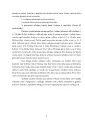 Miesto įvaizdžio individualumo problema 8 puslapis