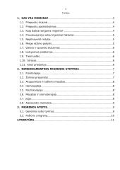 Migrena ir jos poveikis organizmui 2 puslapis